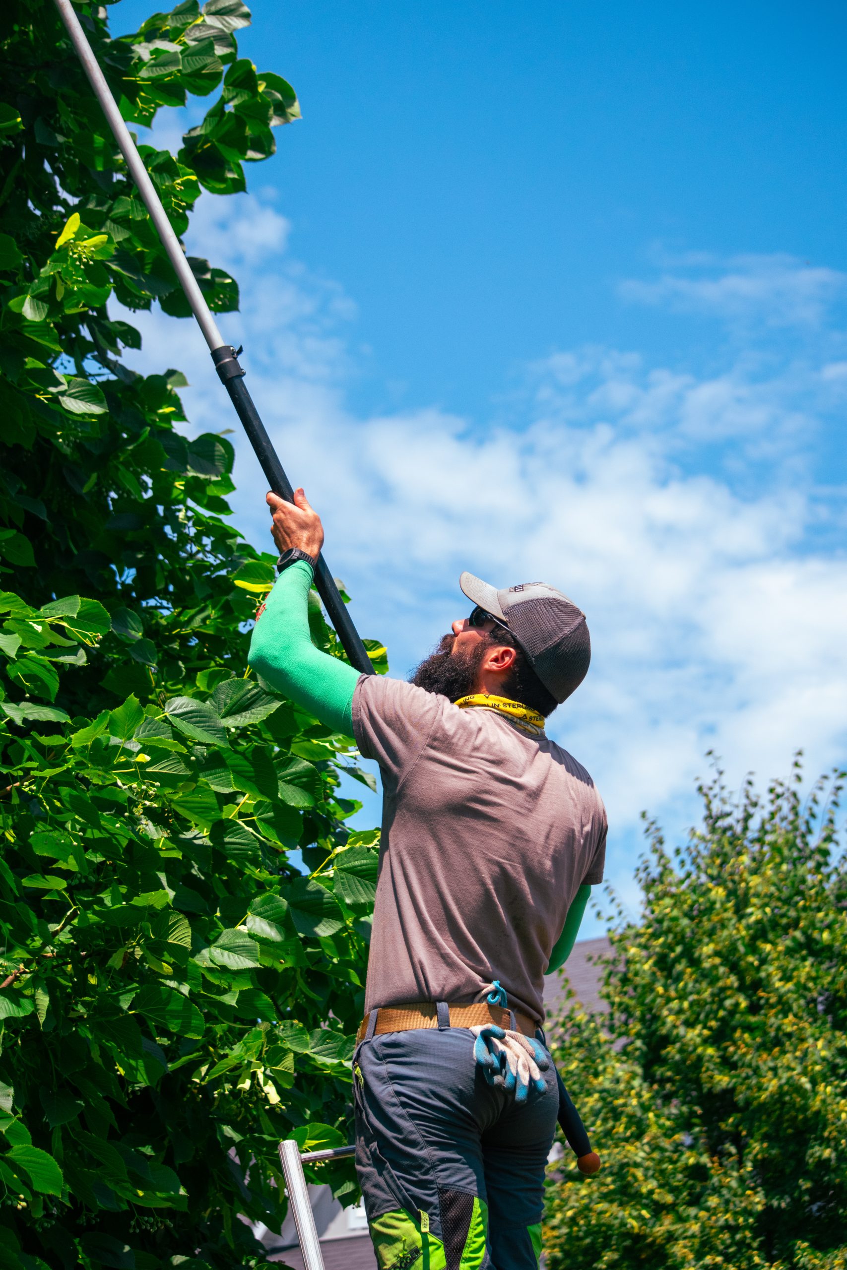 DSC_0320 pruning